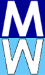 Marlina Security Logo